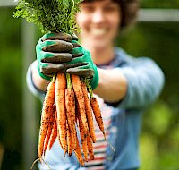 Eating for Healthy Eyesight